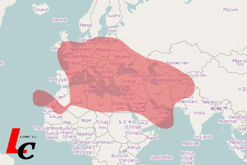 Harti Acoperire Sateliti Europa Africa America Asia Si